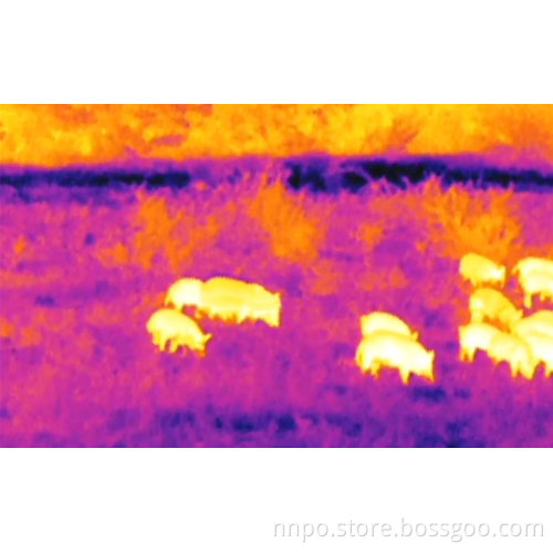 Infrared Thermal Imager And Infrared Night Vision monoculars